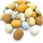 Sjokoladeegg - Happy Sprinkles - Eggs-plotion - 100g
