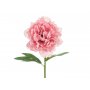 Peonblomst - 35 cm - Rosa Peonblomst - 35 cm - Rosa