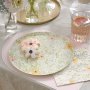 Papptallerkener - Ditsy Floral - 8-pakning