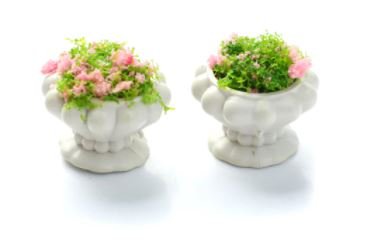 Miniobjekter - Blomster i potte - 2-pakning