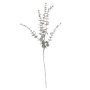 Eukalyptus kvist - 74 cm - Grønn Eukalyptus kvist - 74 cm - Grønn