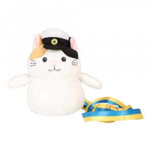 Studentkj�ledyr - Katt