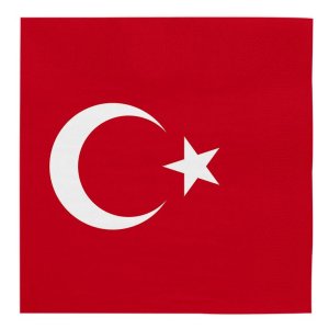 Servietter - Kalkun - 33x33 cm - 20-pakning Servietter - Kalkun - 33x33 cm - 20-pakning