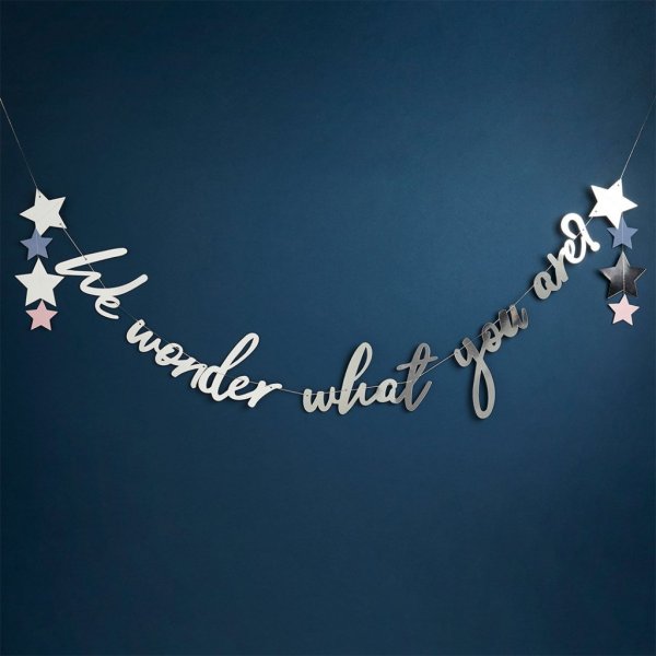 Backdrop - We wonder what you are