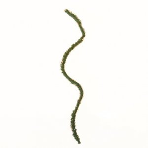 Minivare - Gr�nn girlander