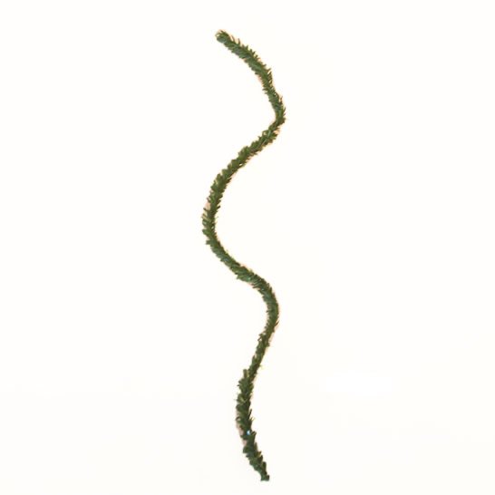 Minivare - Gr�nn girlander