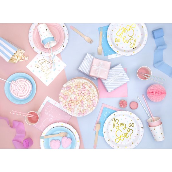 Pappkopper - Gutt eller jente? - 6-pakning