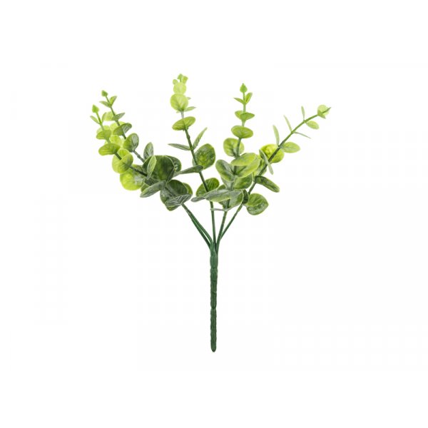 Liten kvistbukett - Eukalyptus - 27 cm Liten kvistbukett - Eukalyptus - 27 cm