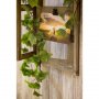 Treramme - Vindu - 48,5x3x78cm Treramme - Vindu - 48,5x3x78cm