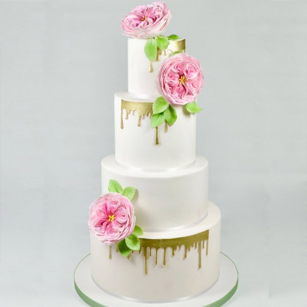 Kutter - Drypp Kutter - Drypp