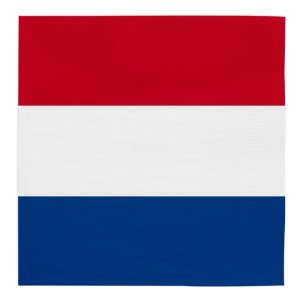 Servietter - Holland - 33x33 cm - 20 stk Servietter - Holland - 33x33 cm - 20 stk
