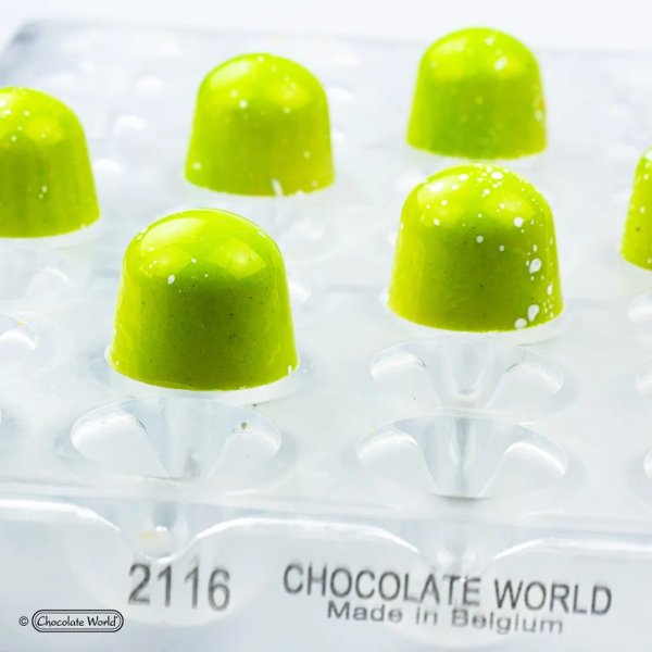 Pralinform - CW2116 Dome - Chocolate World Pralinform - CW2116 Dome - Chocolate World