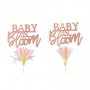 Cake picks  Baby in bloom