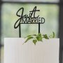 Cake Topper - Just Married - Contemporary Wedding