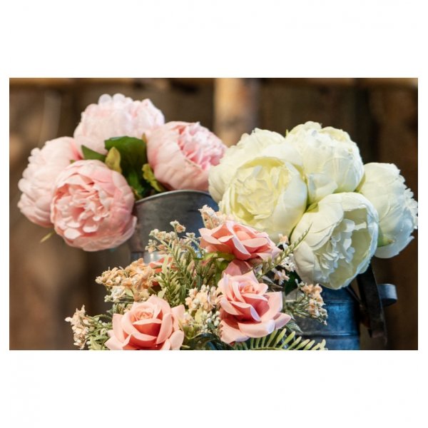 Peoner - 6-pakning - Hvit