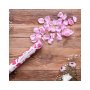 Konfettikanon med rosa roseblader Konfettikanon med rosa roseblader