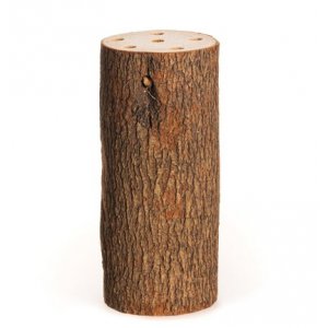 Stubbe med hull - Kamfertre - 10 x 20 cm