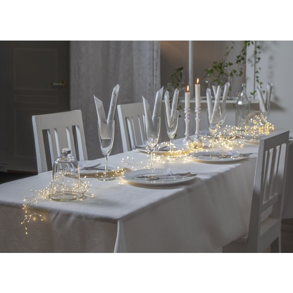 Lyslenke - Duggdråpe Lyslenke - Duggdråpe