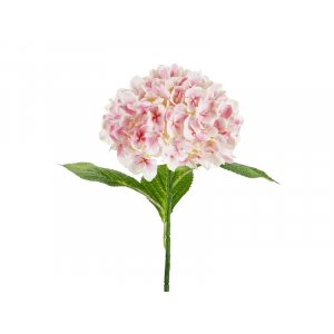 Hortenisa - 69 cm - Premium - Lys rosa