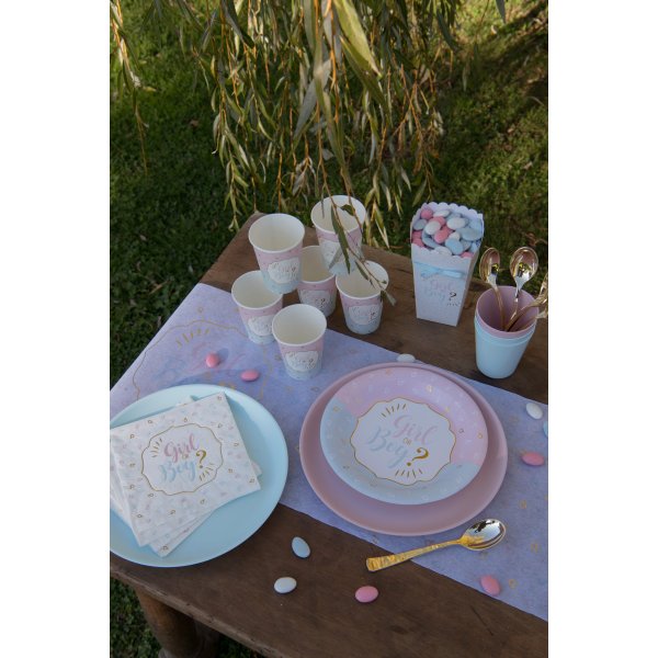 Babyshower, kj�nnsavsl�ring, papirtallerkener