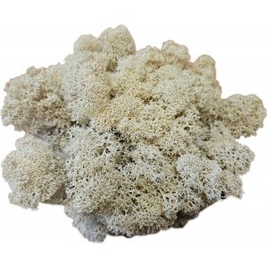 Hvit mose - Dekorasjon - Stor pose - 100 g