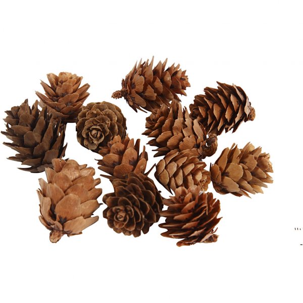 Lerkkjegler - 12-pakning Lerkkjegler - 12-pakning