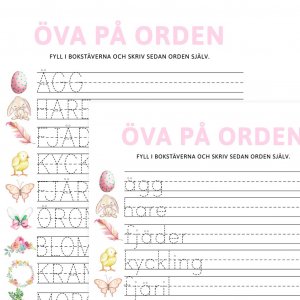 Skriv ordene - Store og sm bokstaver