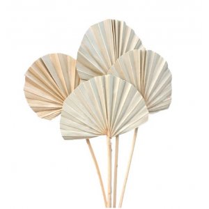 Palmeblader - 50 cm - 10-pakning