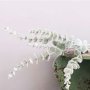 Eukalyptus kvist - 74 cm - Grønn Eukalyptus kvist - 74 cm - Grønn