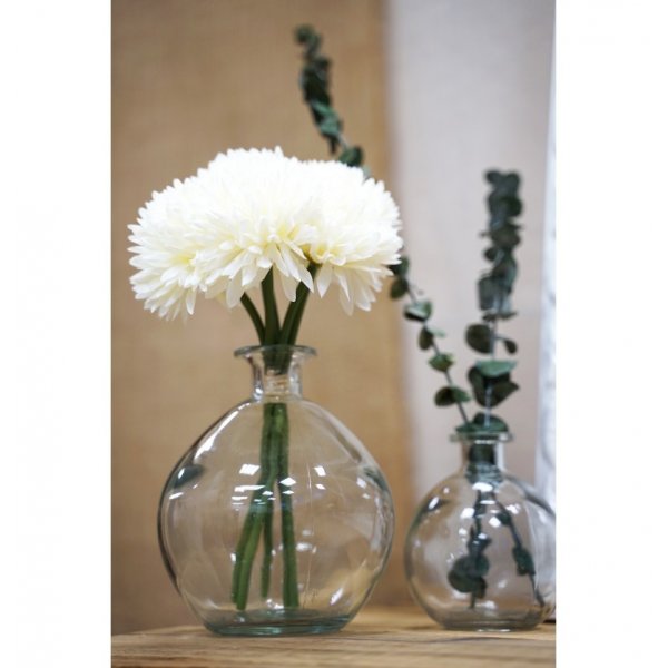 Georginer - 6-pakning - Hvite