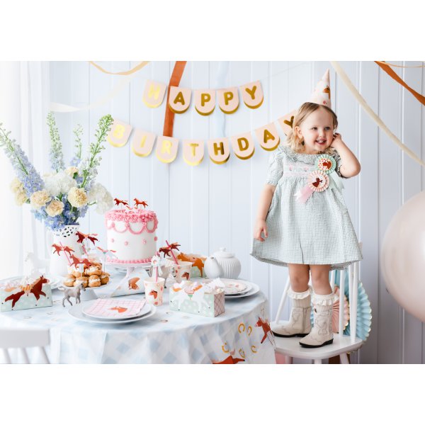 Snackbokser - Hestetema - 3 stk Snackbokser - Hestetema - 3 stk