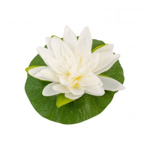 Hvit lotus - 22 cm