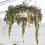 Lysekrone - 3-pakning - Botanisk bryllup