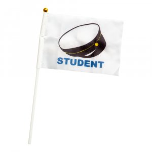 Håndflagg - Student - 6-pakning Håndflagg - Student - 6-pakning