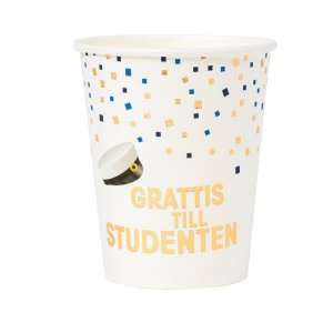 Pappkrus - Student - 8-pakning (250 ml) Pappkrus - Student - 8-pakning (250 ml)