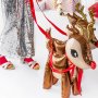 Folieballong - Rudolf