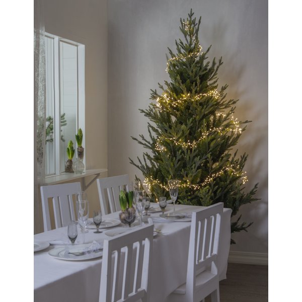 Lyslenke - Duggdråpe Lyslenke - Duggdråpe