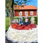 Cake Picks - Emil i L�nneberga - 8-pakning