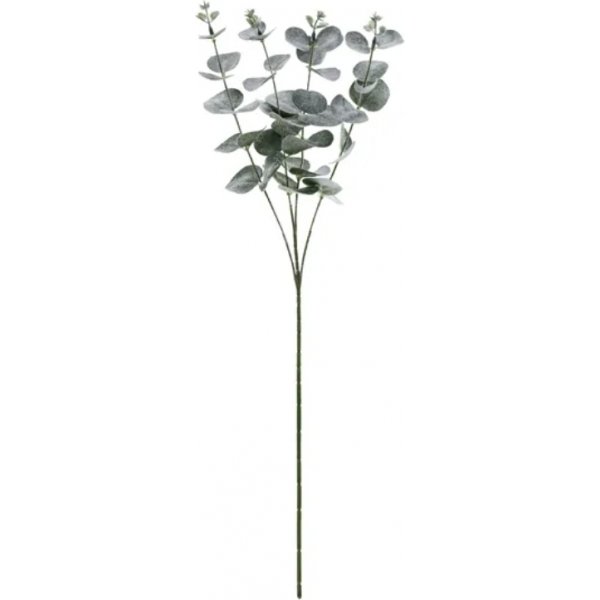 Eukalyptus kvist - 60 cm Eukalyptus kvist - 60 cm