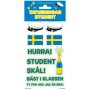 Tatoveringer - Student Tatoveringer - Student