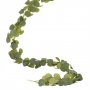 Girlander - Eukalyptus Girlander - Eukalyptus
