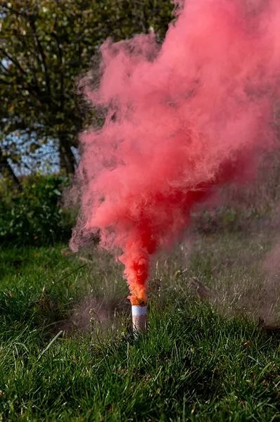 Kruttkanon - Kjønnsavsløring - Rosa Kruttkanon - Kjønnsavsløring - Rosa