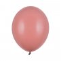 Pastellballonger - Premium 27 cm - Villrose - 10-pakning Pastellballonger - Premium 27 cm - Villrose - 10-pakning