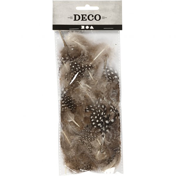 Fjær - 100-pakning - Brun Fjær - 100-pakning - Brun