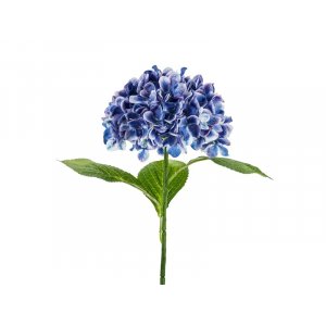 Hortenisa - 69 cm - Premium - Mrk bl