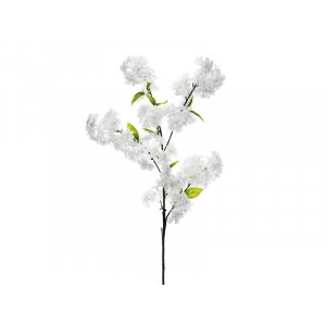 Kirsebrblomst - 97 cm