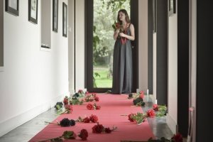 Rød løper - 15 x 1 m Rød løper - 15 x 1 m