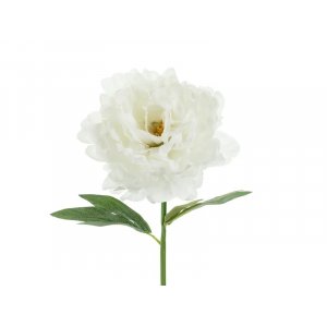 Peonblomst - 35 cm - Hvit