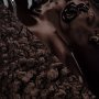 Callebaut Cocoa Botanical Noir Intense 1kg Callebaut Cocoa Botanical Noir Intense 1kg