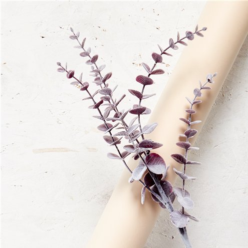 Eukalyptusgren - 74 cm - Lilla Eukalyptusgren - 74 cm - Lilla